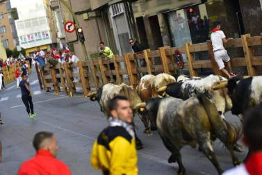 Fotos de la comida del día del abuelo de las fiestas de Peralta de 2018