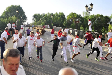Imágenes de fiestas de Peralta de este viernes, 7 de septiembre, día en el que se ha celebrado el día de las peñas. Los jóvenes han cambiado el atuendo blanco y rojo por los disfraces.