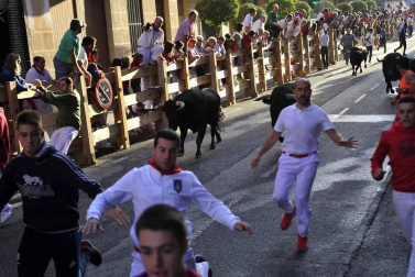 Despedida de gigantes, misa y encierro para poner fin a las fiestas patronales de Peralta