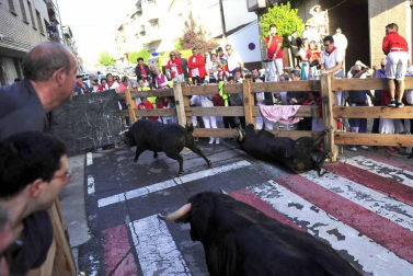 Despedida de gigantes, misa y encierro para poner fin a las fiestas patronales de Peralta
