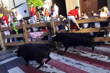 Despedida de gigantes, misa y encierro para poner fin a las fiestas patronales de Peralta