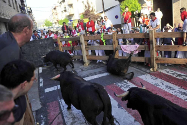 Despedida de gigantes, misa y encierro para poner fin a las fiestas patronales de Peralta