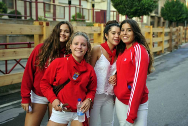 Despedida de gigantes, misa y encierro para poner fin a las fiestas patronales de Peralta