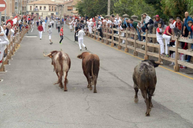 Fotos del encierro y la procesión de las fiestas de Sangüesa, 12 de septiembre de 2018