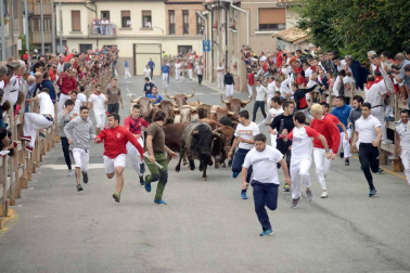 Fotos del encierro y la procesión de las fiestas de Sangüesa, 12 de septiembre de 2018
