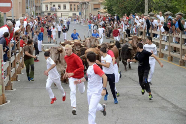 Fotos del encierro y la procesión de las fiestas de Sangüesa, 12 de septiembre de 2018