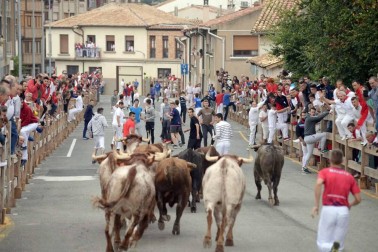 Fotos del encierro y la procesión de las fiestas de Sangüesa, 12 de septiembre de 2018