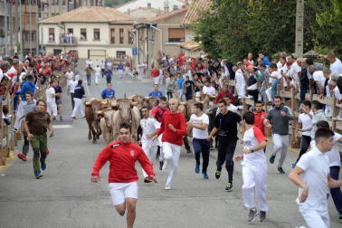Fotos del encierro y la procesión de las fiestas de Sangüesa, 12 de septiembre de 2018