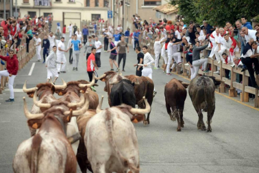 Fotos del encierro y la procesión de las fiestas de Sangüesa, 12 de septiembre de 2018