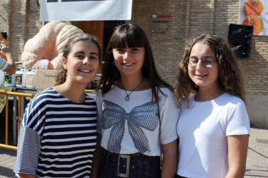 Un año más, y ya van diez, el Ayuntamiento de Valtierra ha organizado la tradicional Feria internacional de calabazas gigantes. El certamen, que se celebró el 8 de septiembre, volvió a aupar en el trono al valtierrano Rubén Mendi, que presentó una hermosa calabaza que superaba los setecientos kilos de peso.