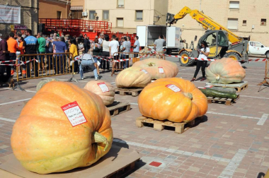Un año más, y ya van diez, el Ayuntamiento de Valtierra ha organizado la tradicional Feria internacional de calabazas gigantes. El certamen, que se celebró el 8 de septiembre, volvió a aupar en el trono al valtierrano Rubén Mendi, que presentó una hermosa calabaza que superaba los setecientos kilos de peso.