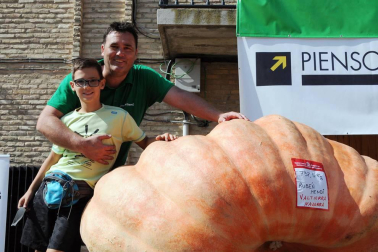 Un año más, y ya van diez, el Ayuntamiento de Valtierra ha organizado la tradicional Feria internacional de calabazas gigantes. El certamen, que se celebró el 8 de septiembre, volvió a aupar en el trono al valtierrano Rubén Mendi, que presentó una hermosa calabaza que superaba los setecientos kilos de peso.