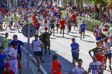 El toro ensogado en una de las jornadas festivas de Lodosa (14 de septiembre)