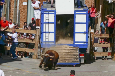 El toro ensogado en una de las jornadas festivas de Lodosa (14 de septiembre)