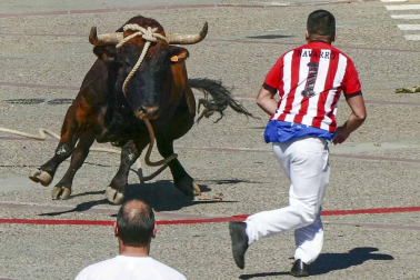 El toro ensogado en una de las jornadas festivas de Lodosa (14 de septiembre)