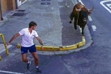 El toro ensogado en una de las jornadas festivas de Lodosa (14 de septiembre)