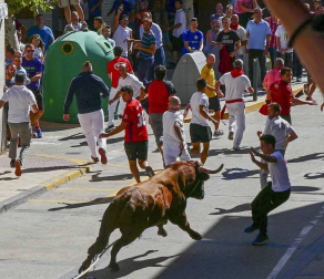 El toro ensogado en una de las jornadas festivas de Lodosa (14 de septiembre)