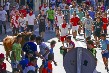 El toro ensogado en una de las jornadas festivas de Lodosa (14 de septiembre)