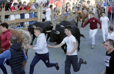 El domingo de fiestas estuvo dedicado a los niños. Sangüesa dio la bienvenida a los nacidos en el último año y hubo ofrenda floral al patrón