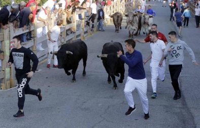 Despedida de los gigantes y encierro en el último día de las fiestas de Sangüesa (17 de septiembre)