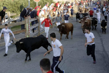 Despedida de los gigantes y encierro en el último día de las fiestas de Sangüesa (17 de septiembre)