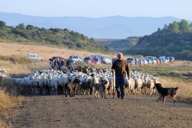 Carcastillo celebró del 14 al 16 de septiembre la VI Fiesta de los Usos Tradicionales de la Trashumancia en Bardenas. El día grande fue el domingo, cuando tuvo lugar la entrada de los rebaños a las Bardenas procedentes de los valles de Roncal y Salazar. La cita, contó con otros atractivos, como degustación de migas o mercado.