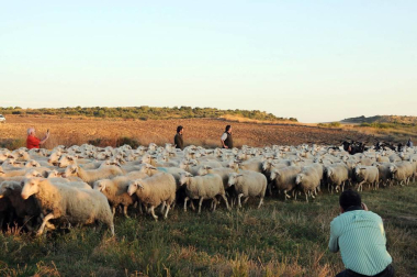 Carcastillo celebró del 14 al 16 de septiembre la VI Fiesta de los Usos Tradicionales de la Trashumancia en Bardenas. El día grande fue el domingo, cuando tuvo lugar la entrada de los rebaños a las Bardenas procedentes de los valles de Roncal y Salazar. La cita, contó con otros atractivos, como degustación de migas o mercado.