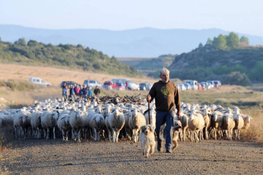 Carcastillo celebró del 14 al 16 de septiembre la VI Fiesta de los Usos Tradicionales de la Trashumancia en Bardenas. El día grande fue el domingo, cuando tuvo lugar la entrada de los rebaños a las Bardenas procedentes de los valles de Roncal y Salazar. La cita, contó con otros atractivos, como degustación de migas o mercado.
