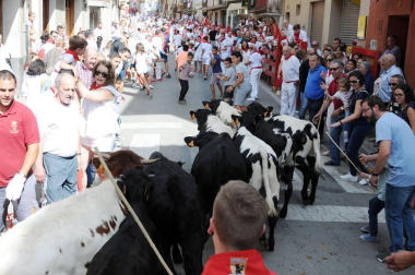 Del 8 al 16 de septiembre los fiteranos celebraron sus fiestas en honor a la Virgen de la Barda. El sábado, penúltima parada de la programación festiva, se organizó el Día de la gigantada. En este evento participaron las comparsas de gigantes de Botarell, Cintruénigo, Corella y Fitero, acompañadas por los gaiteros de Tudela y las charangas Stropizio y Riau riau'. El pasacalles se celebró a lo largo de la calle Mayor.