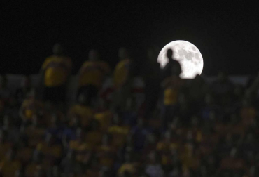 Las fotos más llamativas de las últimas horas.
