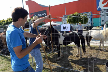 Una parcela municipal en el polígono de Agustinos ha vuelto a acoger la feria el 7 de julio, desde las 7 y hasta las 15 horas. 56 ganaderos han participado en la edición de 2018 de la feria de ganado equino de San Fermín con la presencia de más de 500 animales.