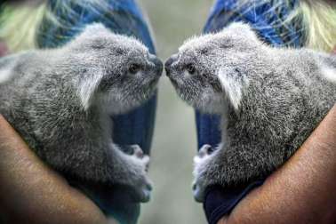Las fotos más llamativas de las últimas horas