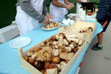 Imágenes de la celebración del Día de la Cofradía del hongo en Elgorriaga, este domingo, 30 de septiembre