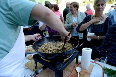 Imágenes de la celebración del Día de la Cofradía del hongo en Elgorriaga, este domingo, 30 de septiembre