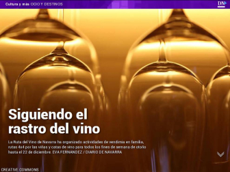 Además, así se retira un nido de avispas en Pamplona.