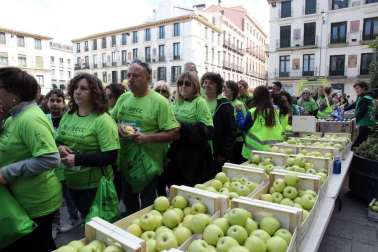 Miles de personas se congregaron en la capital ribera para participar en la carrera