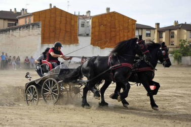 Fotos de la feria del caballo de Marcilla