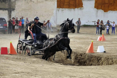 Fotos de la feria del caballo de Marcilla