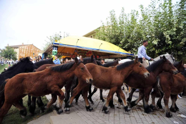 Fotos de la feria del caballo de Marcilla
