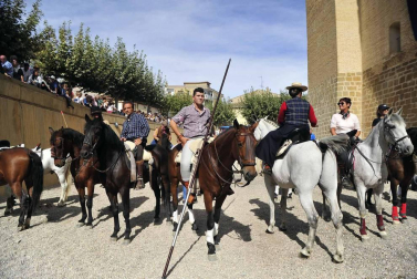 Fotos de la feria del caballo de Marcilla