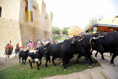 Fotos de la feria del caballo de Marcilla