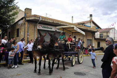 Fotos de la feria del caballo de Marcilla