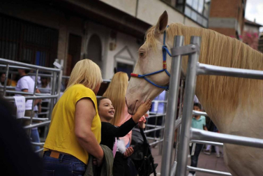 Fotos de la feria del caballo de Marcilla