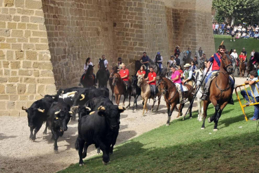 Fotos de la feria del caballo de Marcilla