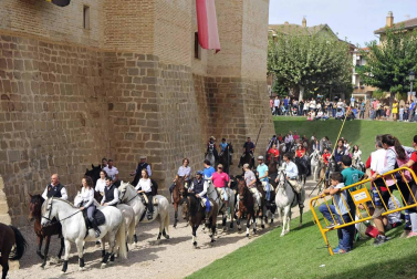 Fotos de la feria del caballo de Marcilla