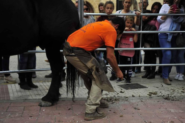 Fotos de la feria del caballo de Marcilla