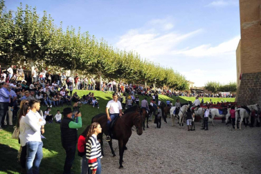 Fotos de la feria del caballo de Marcilla