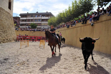 Fotos de la feria del caballo de Marcilla