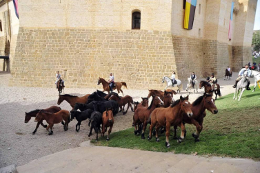Fotos de la feria del caballo de Marcilla