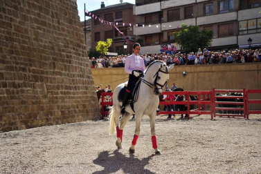 Fotos de la feria del caballo de Marcilla
